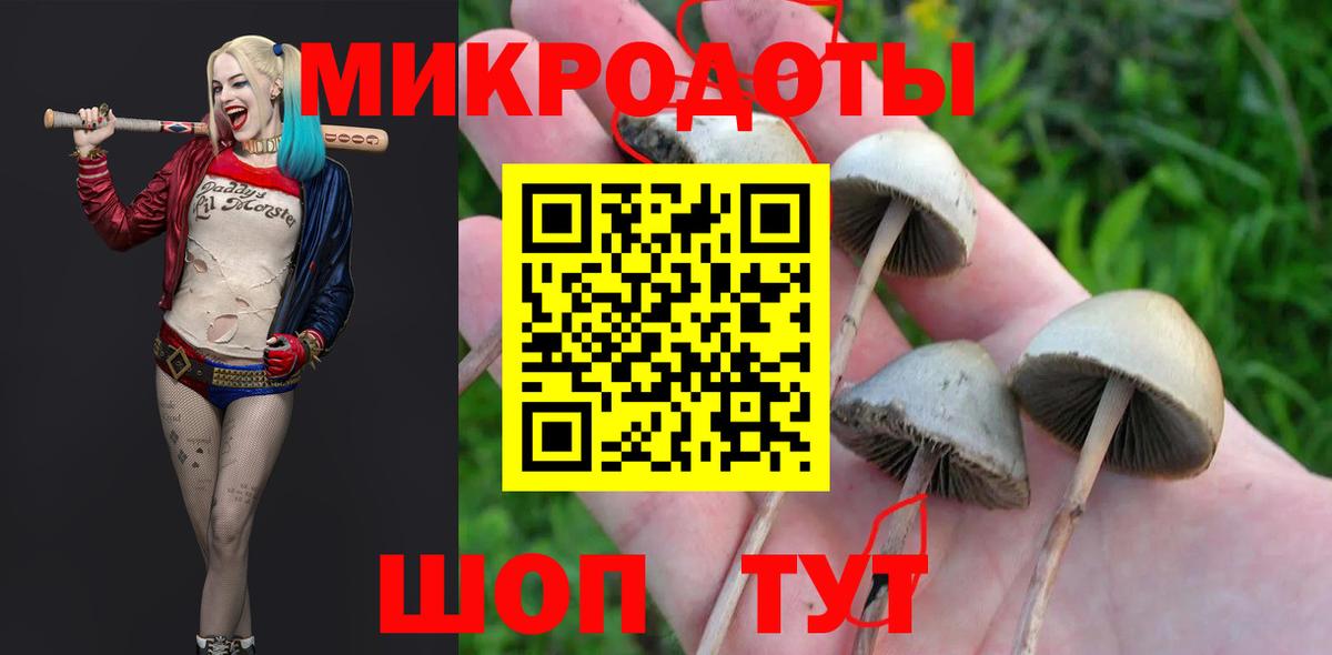 Псилоцибиновые грибы прущие грибы  Вход с VPN  Новоалександровск 