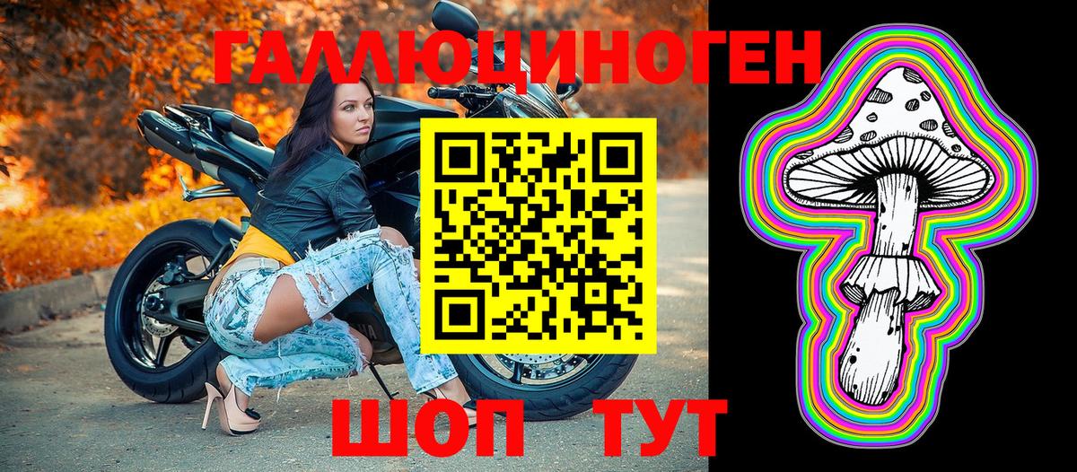 Псилоцибиновые грибы Cubensis Новоалександровск